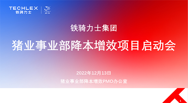 鐵騎力士集團(tuán)降本增效項(xiàng)目啟動